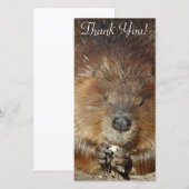 Bruin beaver Nibbles voedsel uit stutten kleine po Bedankkaart (Voorkant / Achterkant)