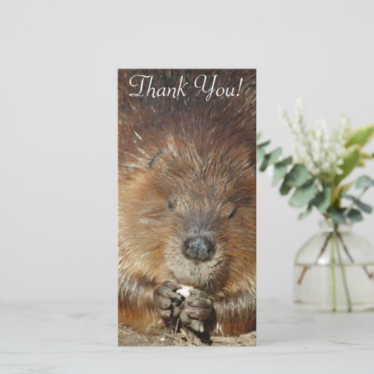 Bruin beaver Nibbles voedsel uit stutten kleine po Bedankkaart (Staand voorkant)
