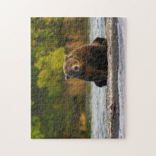 Bruin Beer Alaska. Legpuzzel (Verticaal)