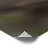 Bruin Beer Alle poten en klauwen Poster (Hoek)