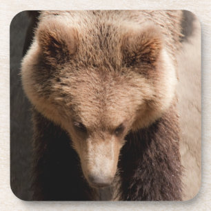 Bruin beer bier onderzetter