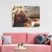 Bruin beer bij de dierentuin uitzicht canvas print (Insitu (Woonkamer))
