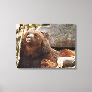 Bruin beer bij de dierentuin uitzicht canvas print
