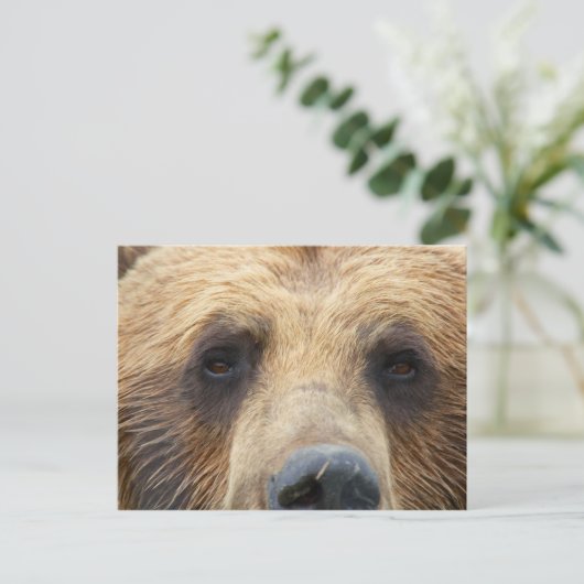 Bruin Beer Briefkaart (Staand voorkant)