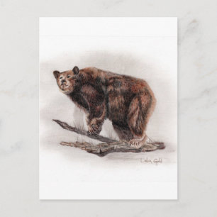 Bruin Beer Briefkaart