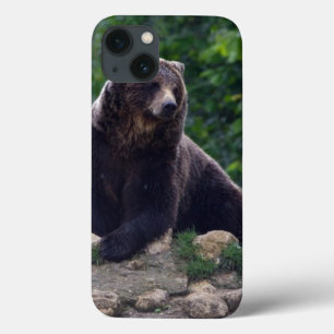 Bruin beer Case-Mate iPhone case