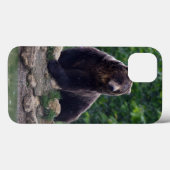 Bruin beer Case-Mate iPhone case (Achterkant (horizontaal))