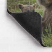 Bruin Beer Cubs die met hun moeder rondlopen Muismat (Hoek)