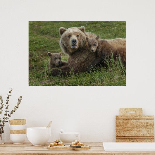 Bruin Beer Cubs die met hun moeder rondlopen Poster (Keuken)
