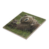 Bruin Beer Cubs die met hun moeder rondlopen Tegeltje (Zijkant)