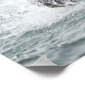 Bruin Beer dat zalm achtervolgt in de rivier Poster (Hoek)