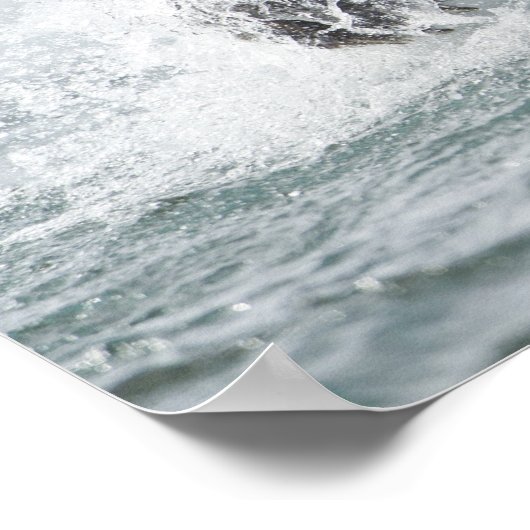 Bruin Beer dat zalm achtervolgt in de rivier Poster (Hoek)