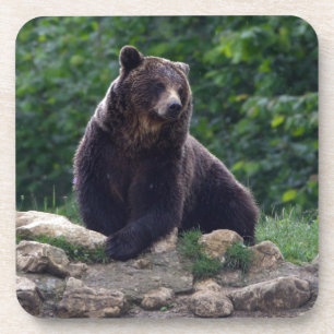 Bruin beer drankjes onderzetter