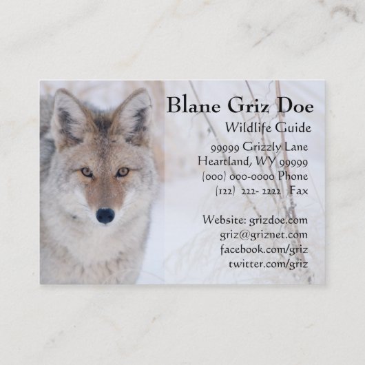 Bruin Beer en Coyote Wildlife Visitekaartje (Achterkant)
