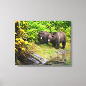 Bruin Beer en kauwen | Hyder, Alaska Canvas Afdruk (Voorkant)