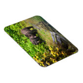 Bruin Beer en kauwen | Hyder, Alaska Magneet (Rechterzijde)