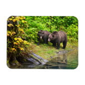 Bruin Beer en kauwen | Hyder, Alaska Magneet (Horizontaal)