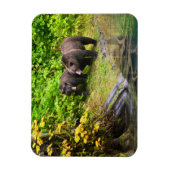 Bruin Beer en kauwen | Hyder, Alaska Magneet (Verticaal)