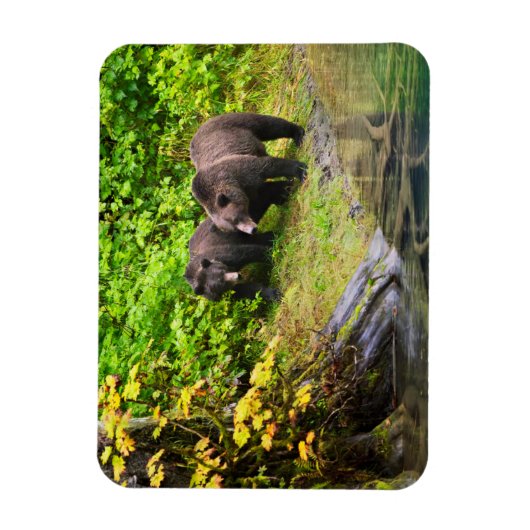 Bruin Beer en kauwen | Hyder, Alaska Magneet (Verticaal)