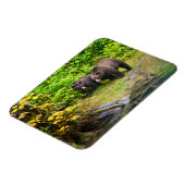 Bruin Beer en kauwen | Hyder, Alaska Magneet (Linkerzijde)