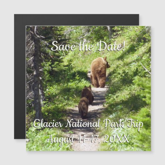 Bruin Beer familie (Voorkant / Achterkant)