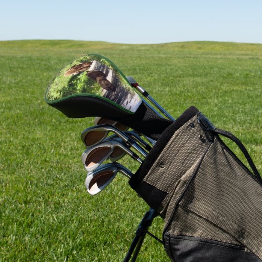 Bruin Beer familie Golfheadcover (Insitu)