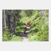 Bruin Beer familie Inpakpapier Vel (Voorkant)