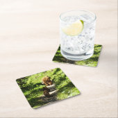 Bruin Beer familie Kartonnen Onderzetters (Insitu)