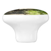 Bruin Beer familie Keramische Knop (Zijkant)