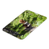 Bruin Beer familie Magneet (Linkerzijde)