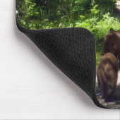 Bruin Beer familie Muismat (Hoek)