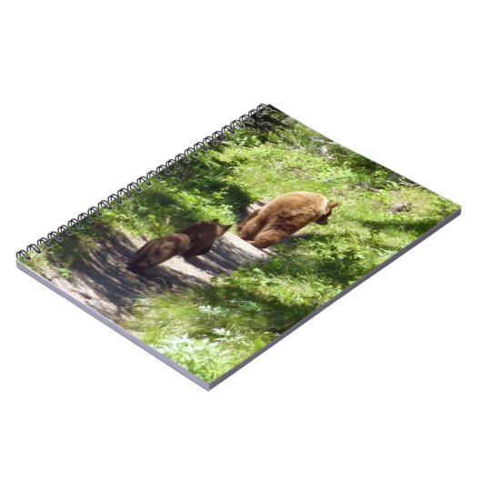 Bruin Beer familie Notitieboek (Linkerzijde)