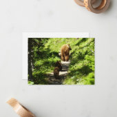 Bruin Beer familie Notitiekaartje (Voorkant / Achterkant in situ)