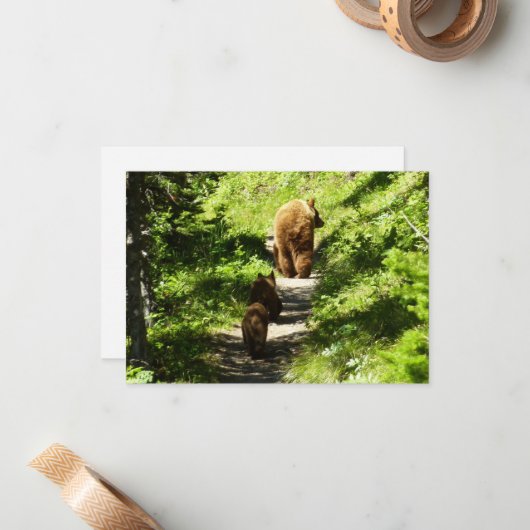 Bruin Beer familie Notitiekaartje (Voorkant / Achterkant in situ)