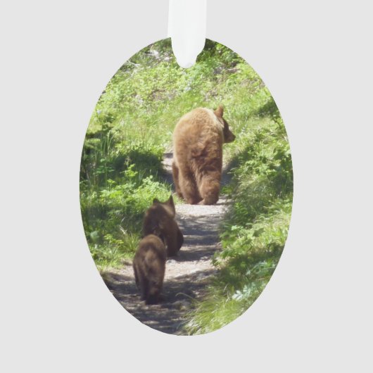 Bruin Beer familie Ornament (achterkant)