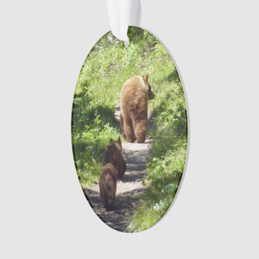 Bruin Beer familie Ornament (voorkant)