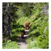 Bruin Beer familie Perfect Poster (Voorkant)