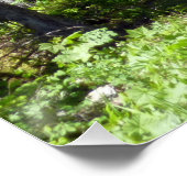 Bruin Beer familie Perfect Poster (Hoek)