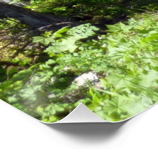 Bruin Beer familie Perfect Poster (Hoek)