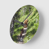 Bruin Beer familie Ronde Klok (Hoek)