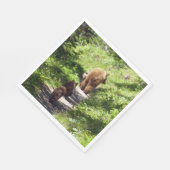 Bruin Beer familie Servet (Hoek)