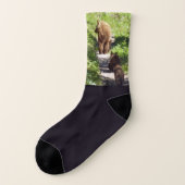 Bruin Beer familie Sokken (Links - buitenkant)