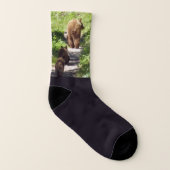 Bruin Beer familie Sokken (Rechts - buiten)