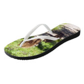 Bruin Beer familie Teenslippers (Schuin)