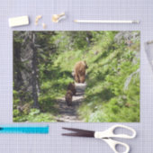 Bruin Beer familie Tissuepapier (Craft)