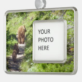 Bruin Beer familie Verzilverd Omlijst Ornament (Links)