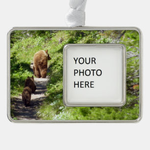 Bruin Beer familie Verzilverd Omlijst Ornament