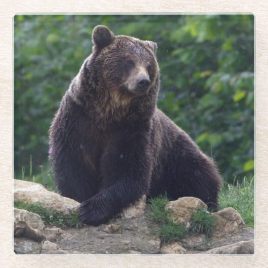 Bruin beer glazen onderzetter (Voorkant)