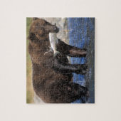 Bruin beer, grizzly beer, met zalmvangst, legpuzzel (Verticaal)