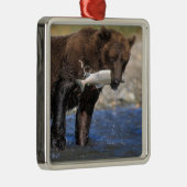 Bruin beer, grizzly beer, met zalmvangst, metalen ornament (Rechts)